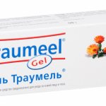 Gel &quot;Traumel&quot;: indications and instructions for use, where to buy, price, reviews