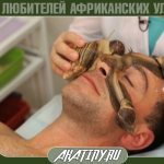 Как делается массаж улитками ахаатин