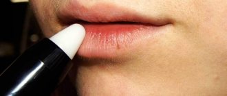 How to use lip primer, what is it for, rating of the best