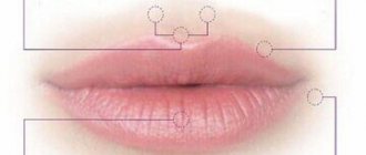 lip contouring training